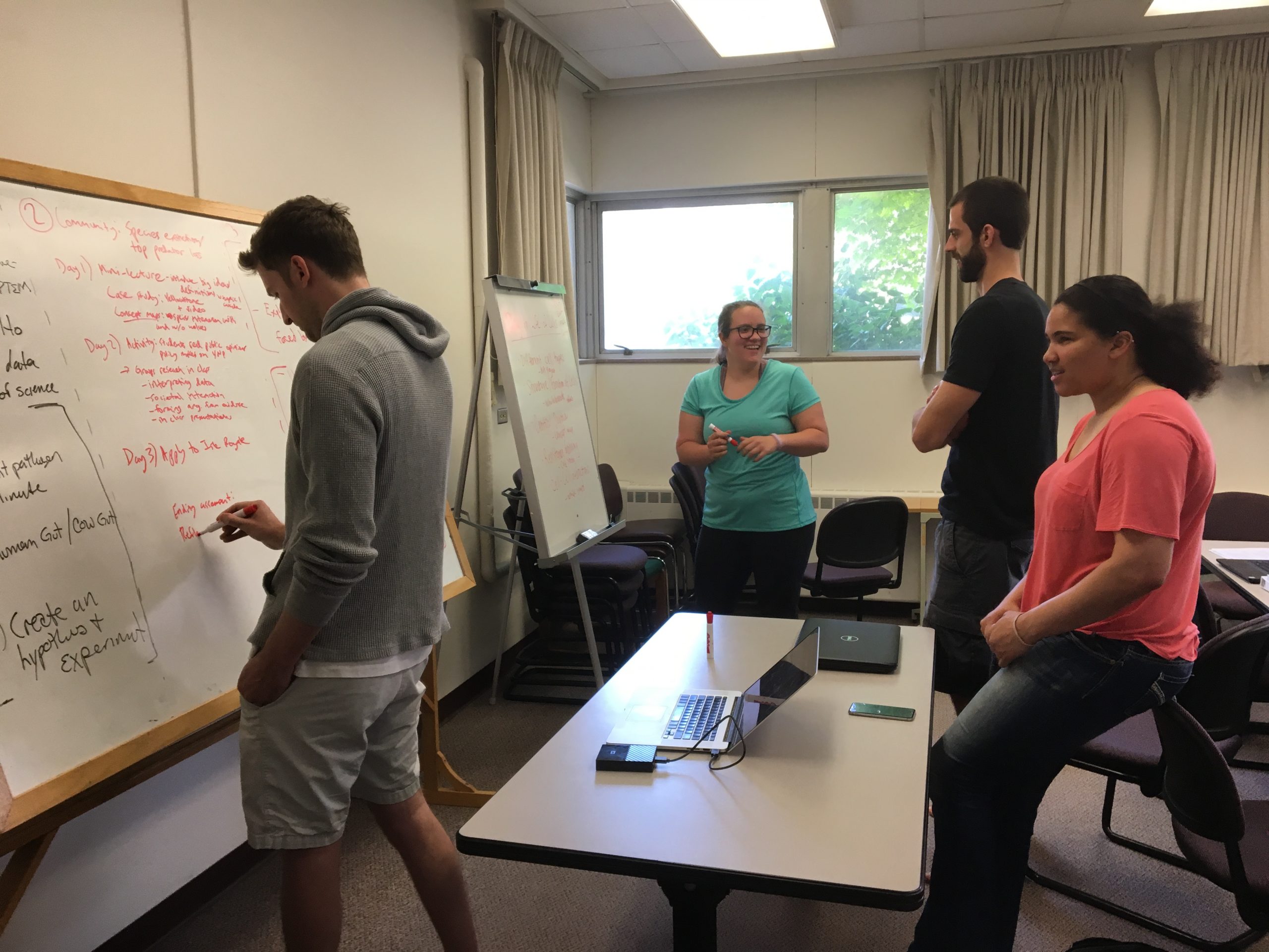 Four Scientific Teaching Fellows work together at two white boards in a classroom.