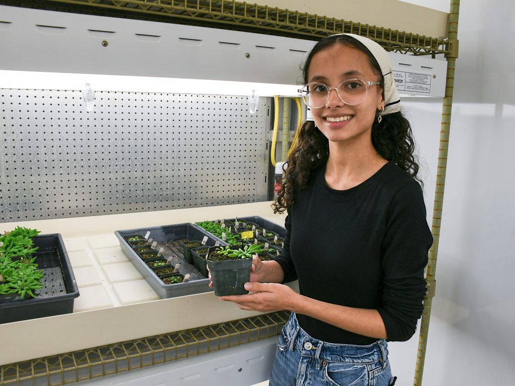 A student wearing glasses, an off-white hair scarf, and black shirt smiles while holding a small potted plant next to a shelf and bright grow lamps. 