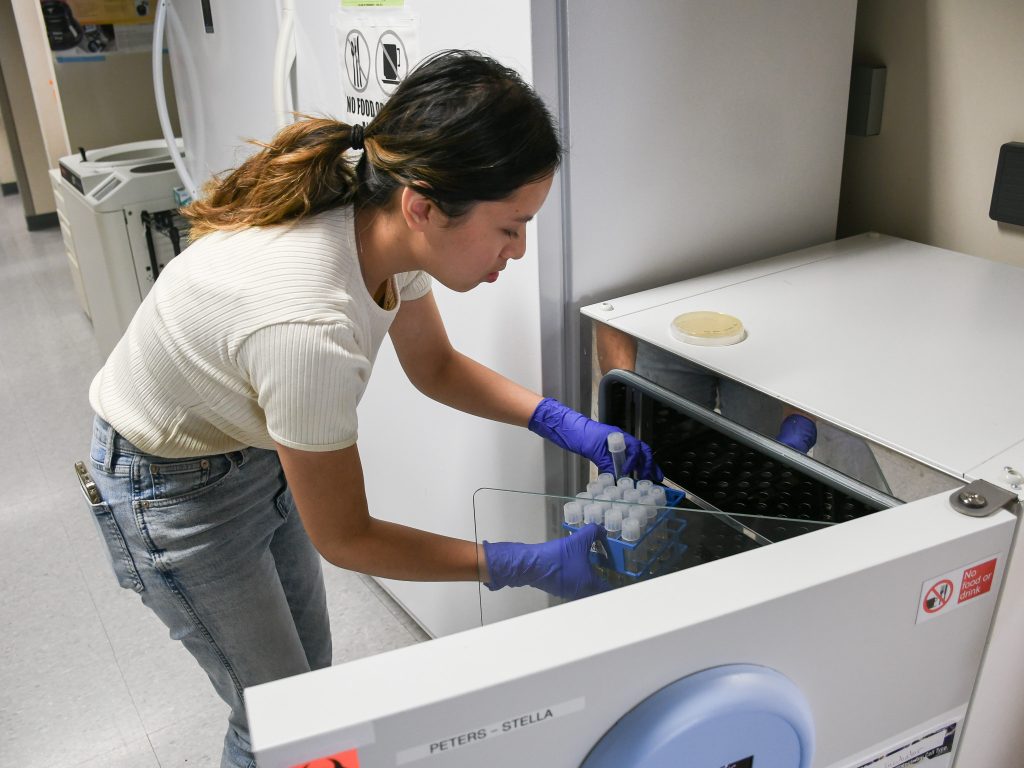 A student holding a tray of test tubes bends to place it in an incubator, which looks somewhat like a refrigerator.