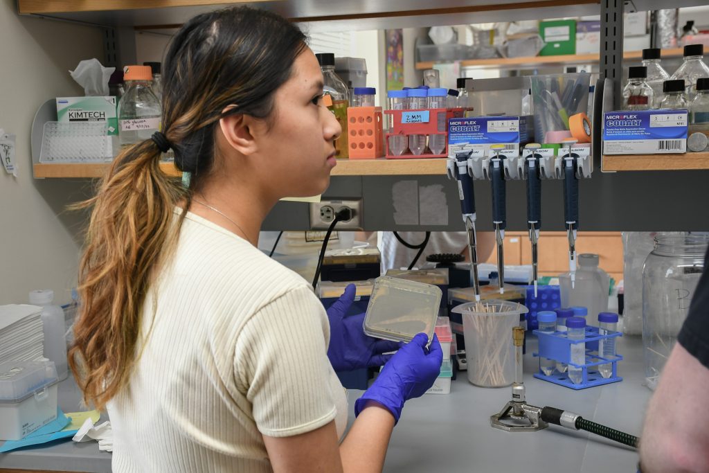 A student with a ponytail wearing an off-white shirt and lab gloves holds a petri dish in front of a lab bench.
