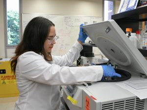 Student Carolyn Ruiz-Rivera does work as part of her research project in the Hite Lab. 