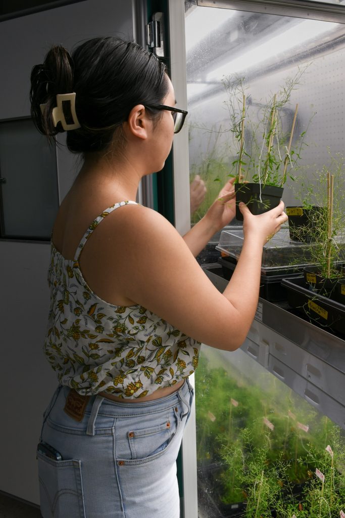 A student holds a potted plant above a shelf under grow lights.