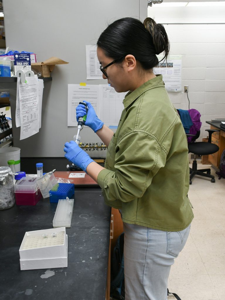 A student wearing a green jacket and lab gloves uses a pipette to do research at a lab bench.
