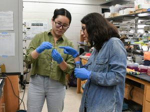 Rachel Joo, a summer research student, holds up something for her mentor, Ariadna Gonzalez Solis, to see. Ariadna looks at it and points. They are in a lab. 