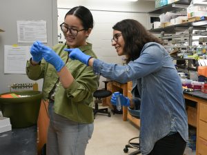 A student wearing lab gloves holds something in her hands, while her mentor looks and points at it.