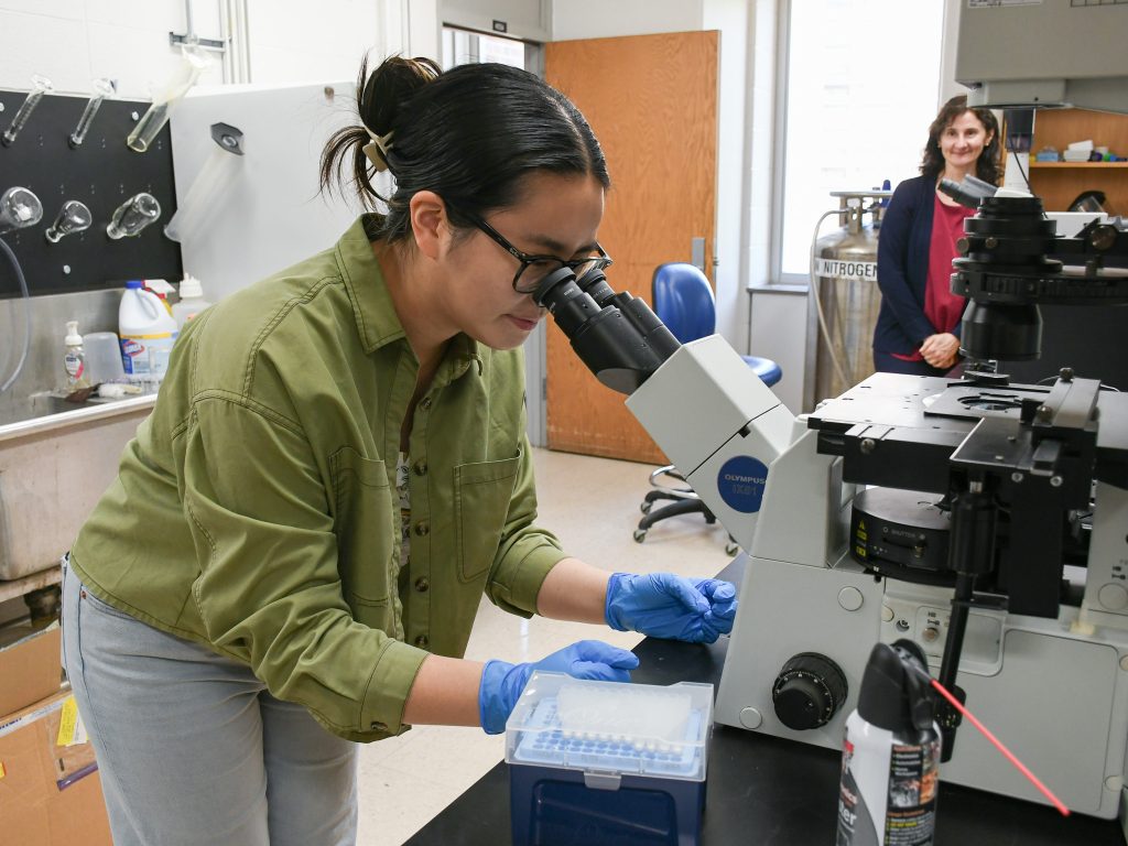 A student wearing a green jacket looks into a microscope while her lab PI looks watches in the background.