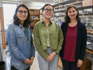 Three women stand in a row inside a lab, smiling at the camera. Summer research student Rachel Joo is in the middle, with her mentor and PI on either side. 