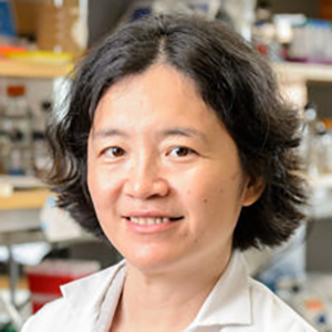 Headshot of Jade Wang in the lab.