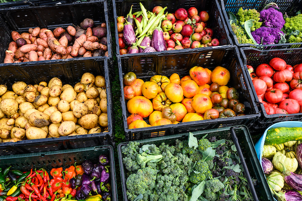 Containers of fresh produce, including tomatoes, broccoli, peppers, potatoes, and eggplant.
