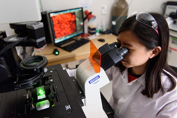 A graduate student wearing a lab coat looks into a microscope in a lab in the Wisconsin Institutes for Medical Research.