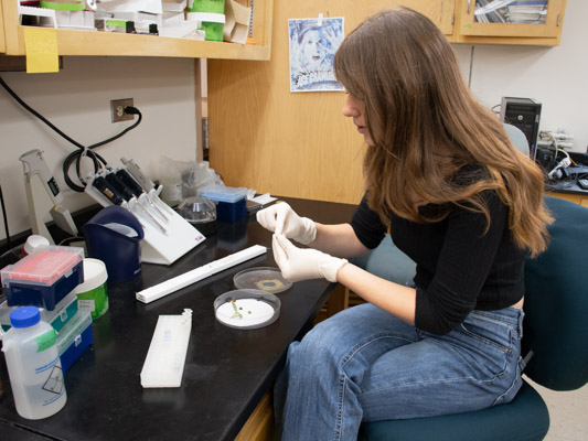A young woman with long brown hair prepares materials at a bench in a research lab. 