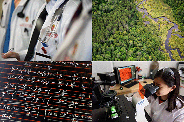 Collage of 4 photos: close-up of someone wearing a lab coat and stethoscope, aerial view of a forest and river, a chalkboard with math equations, and a woman looking in a microscope.