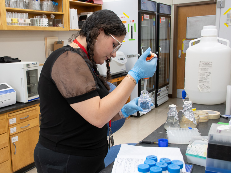 Alexia S. Meléndez Rivera, a summer research student, stands at a lab bench, using a pipette. 
