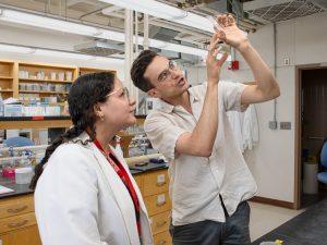 Emile Gluck-Thaler, PI of the Fungal Interactions Lab, holds a petri dish up to the light while Alexia S. Meléndez Rivera, a summer research student, stands next to him and looks at it. 