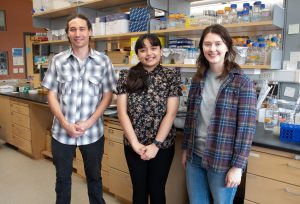 Summer research program student Elaine Torres-Lopez stands with her mentor, Chandler Hellenbrand, and PI, David Hershey, in front of a lab bench.