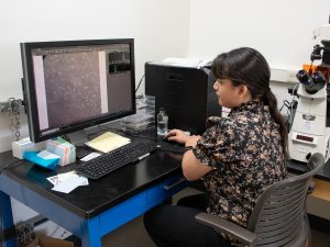 Summer research program student Elaine Torres-Lopez works at a computer in the lab.