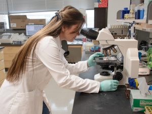 Noah Venable, a summer research program student, looks in a microscope in a lab. 