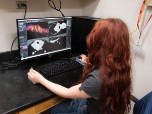 Eleanor Ford, a summer research program student, works at a computer in the lab. 