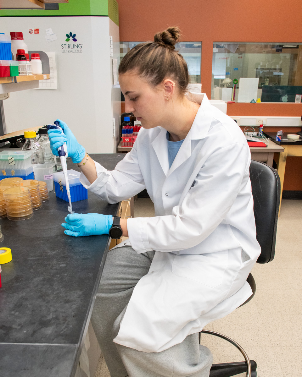 A student wearing a white lab coat and blue gloves sits at a lab bench, using a pipette.
