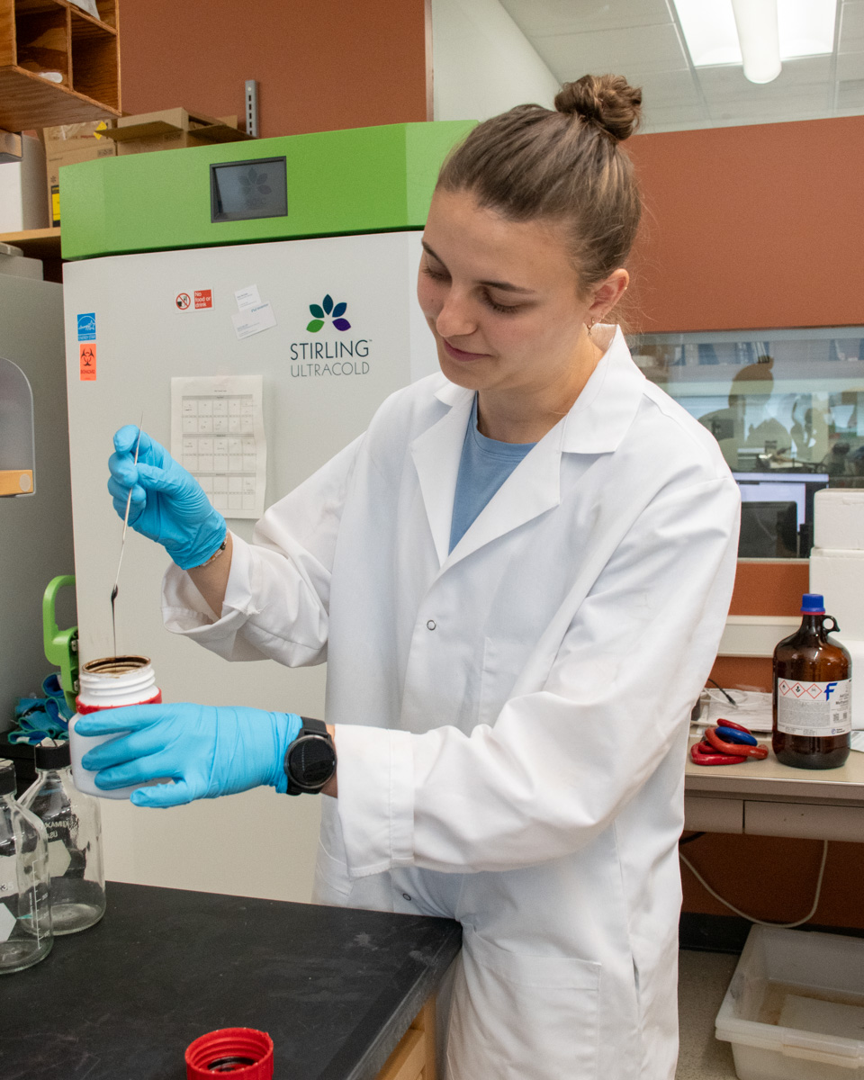 A student stands by a work bench in a lab, wearing a white lab coat and blue gloves. In one hand, she holds a plastic container, and in the other, a knife dipped in a dark brown liquid.