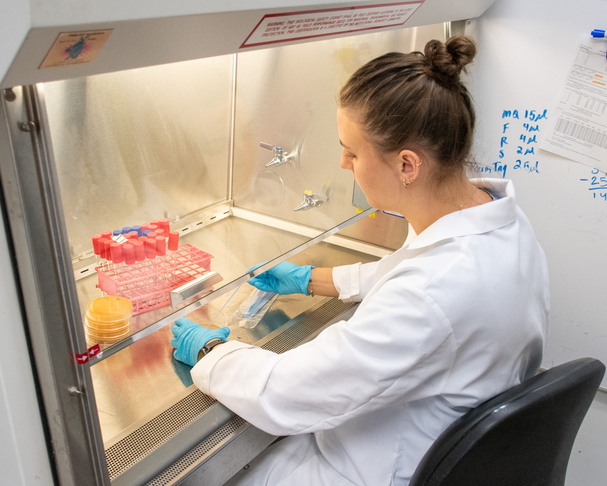 A student wearing a white lab coat and blue gloves sits in front of a lab hood, working on a project.
