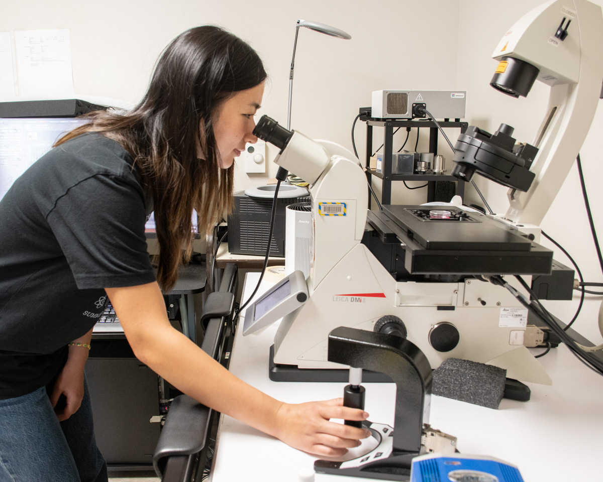 A student wearing a black t-shirt looks into a large microscope.