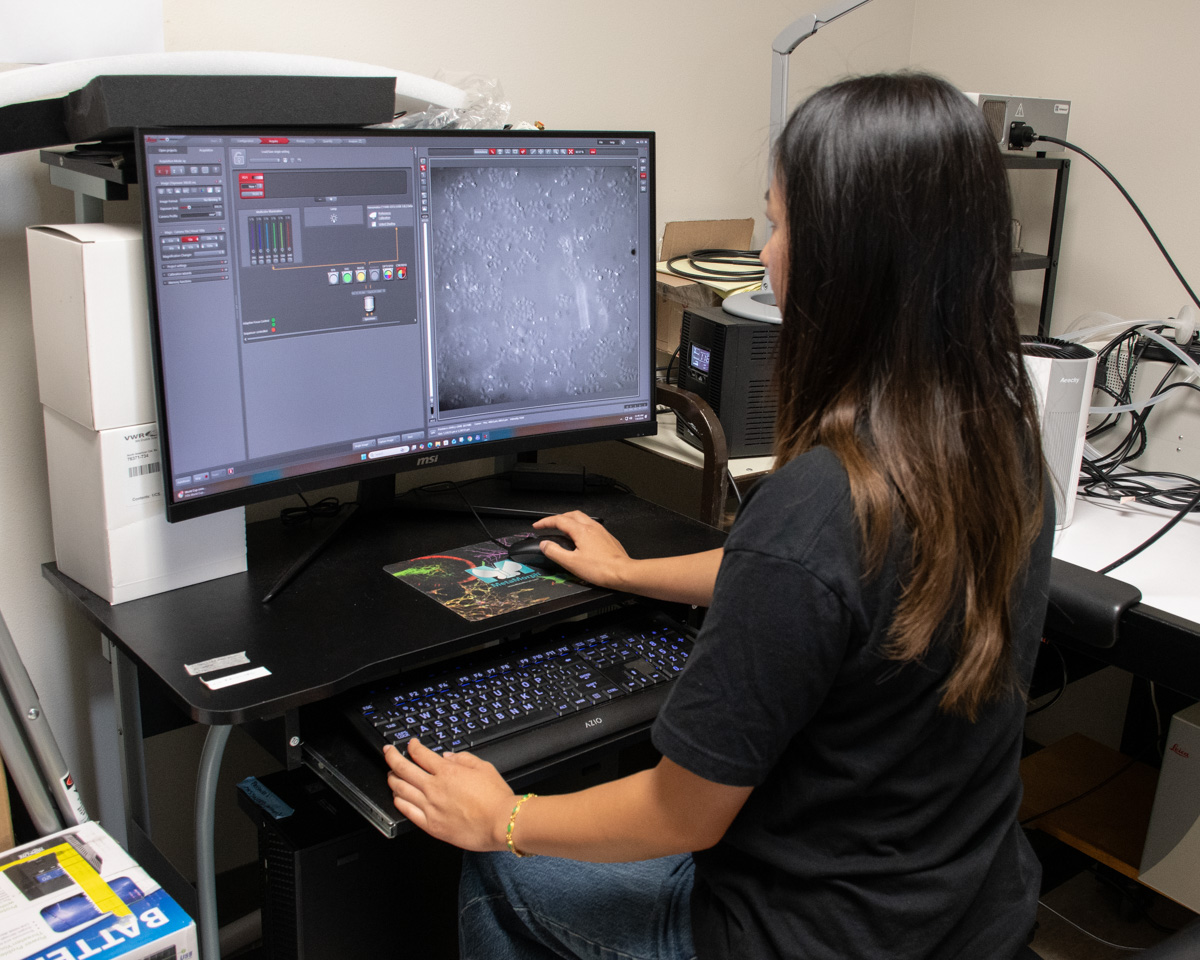 A student sits at a computer with her back facing us.