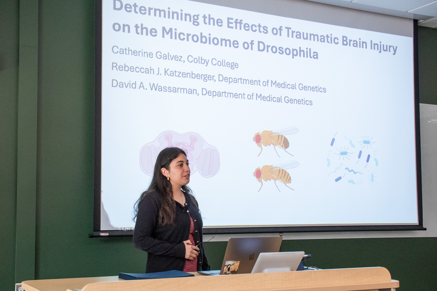 A student stands in front of a projector screen, giving a presentation. The screen reads, "Determining the Effects of Traumatic Brain Injury on the Microbiome of Drosophila."